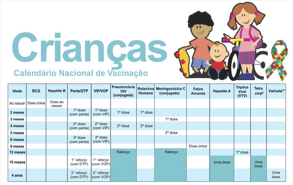 teacarteira