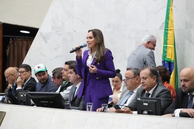 “Teremos a melhor legislação em defesa dos produtores de tabaco”, afirma a deputada Maria Victoria (PP)