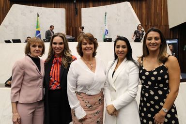 Projeto que cria a bancada feminina começa a tramitar na Assembleia Legislativa