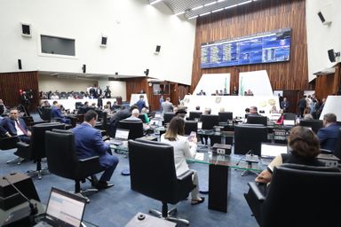 Aprovada proposta para assegurar mais proteção às gestantes paranaenses