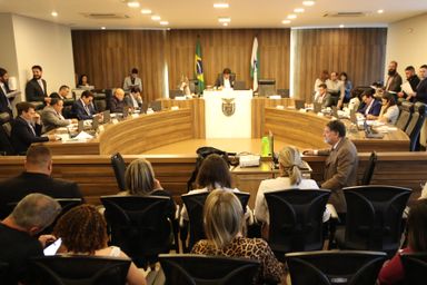 CCJ aprova projeto que trata da regularização fundiária de imóveis