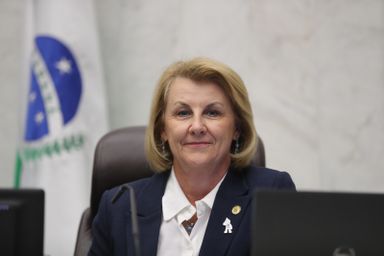 Criação do Dia do Secretário de Saúde é aprovada em redação final