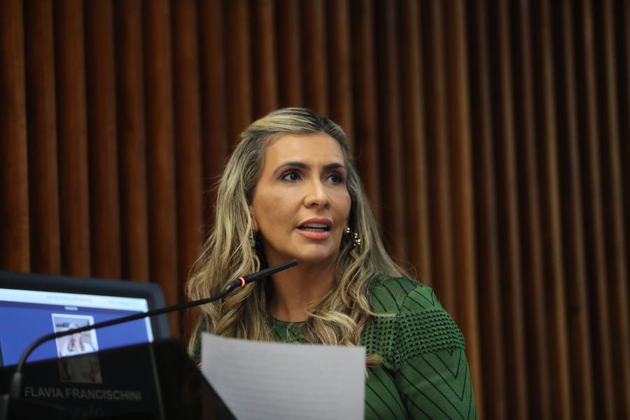 Flavia Francischini PL fake news