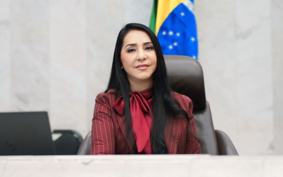 mara lima lei maria da penha