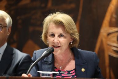 Deputada Márcia Huçulak (PSD) fará parte de comissão especial para consolidação de leis do consumidor