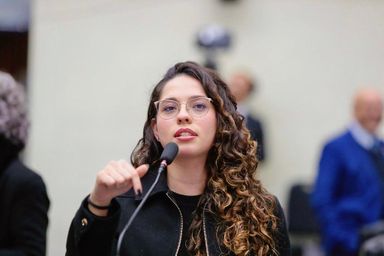 Deputada Ana Júlia (PT) questiona ANEEL sobre reajuste da Copel e aponta queda na qualidade do serviço no Paraná