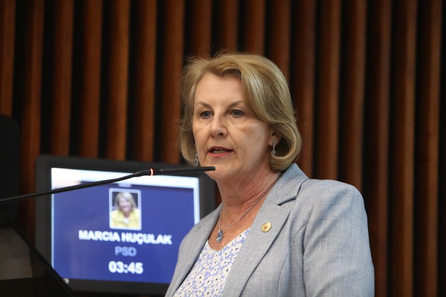 huçulak plenario