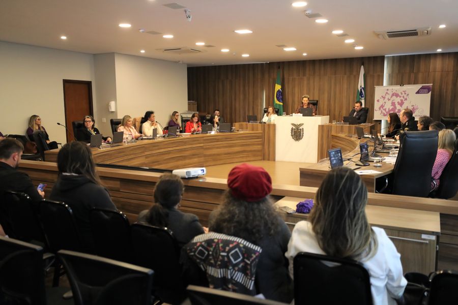 aud pub violência gênero