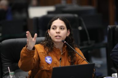 Governo descumpre ordem judicial e segue com Parceiro da Escola, denuncia deputada Ana Júlia (PT)