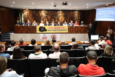 Deputados vão encaminhar denúncia à ANEEL sobre quedas de energia no Paraná