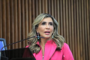 Audiência Pública debate o enfrentamento e o combate ao feminicídio no Paraná