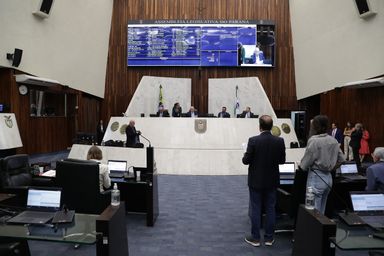 Apadrinhamento de espaços públicos é aprovado na Assembleia