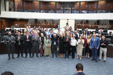 Em Sessão Solene, Assembleia Legislativa celebra os 80 anos da Porcelana Schmidt