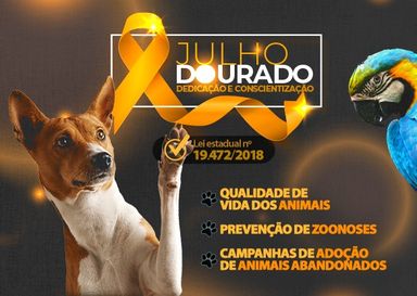 Julho Dourado – Mês de reflexão sobre a saúde animal e contra o abandono