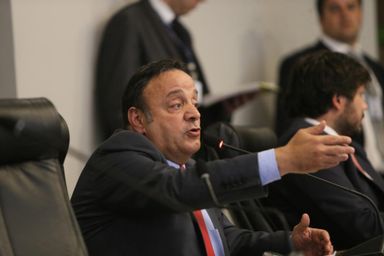 Avança na Assembleia projeto de Hussein Bakri que regulamenta plantio perto da rede elétrica