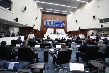 Mais de 260 projetos de lei foram aprovados pela Assembleia Legislativa do Paraná no 1º semestre de 2025