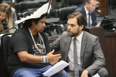 Assembleia traz para o Paraná a discussão dos direitos dos povos indígenas