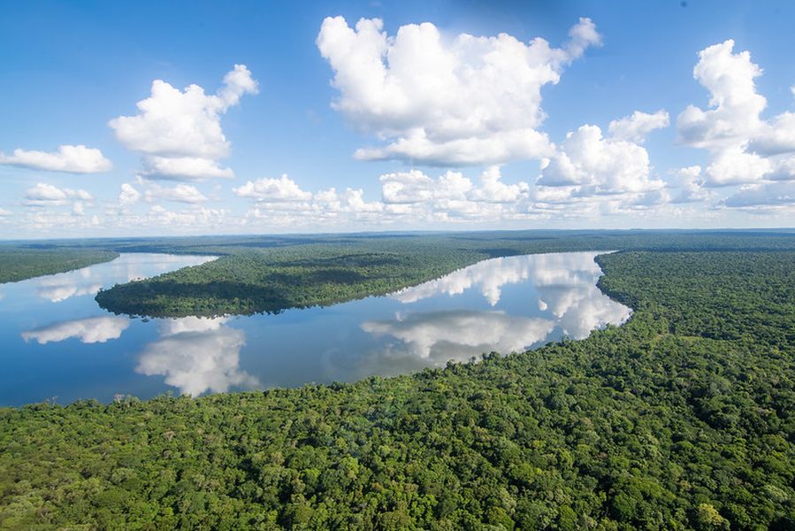 goura PL rio iguaçu