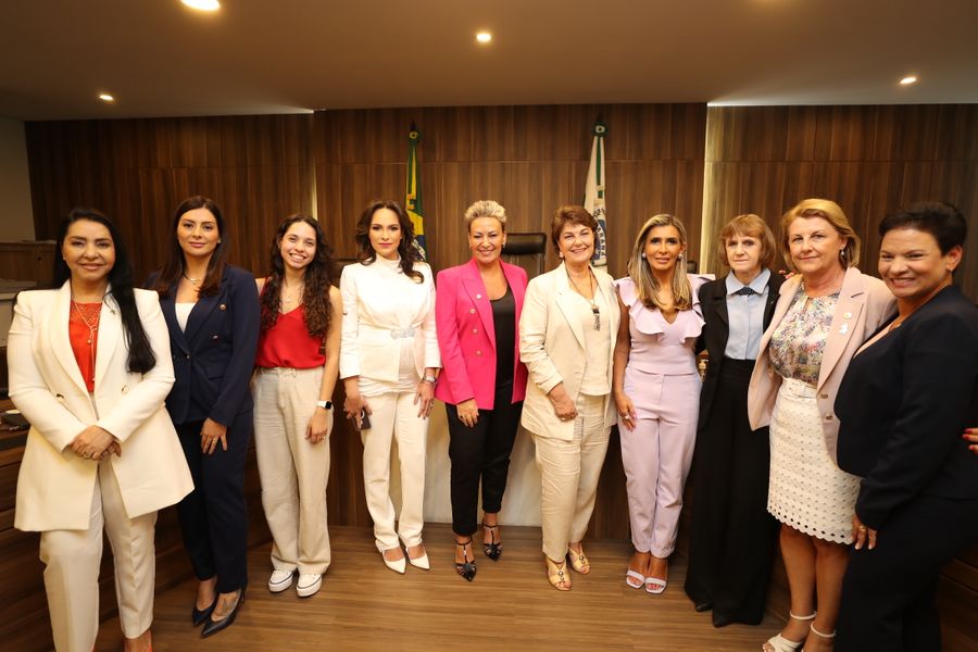 deputadas dia da mullher