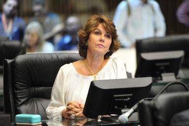 Procuradoria da Mulher volta a cobrar boletim online e dados da violência doméstica