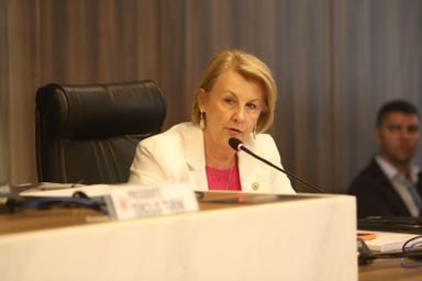 Assembleia e Conselho de Saúde debatem desinformação sobre vacinas