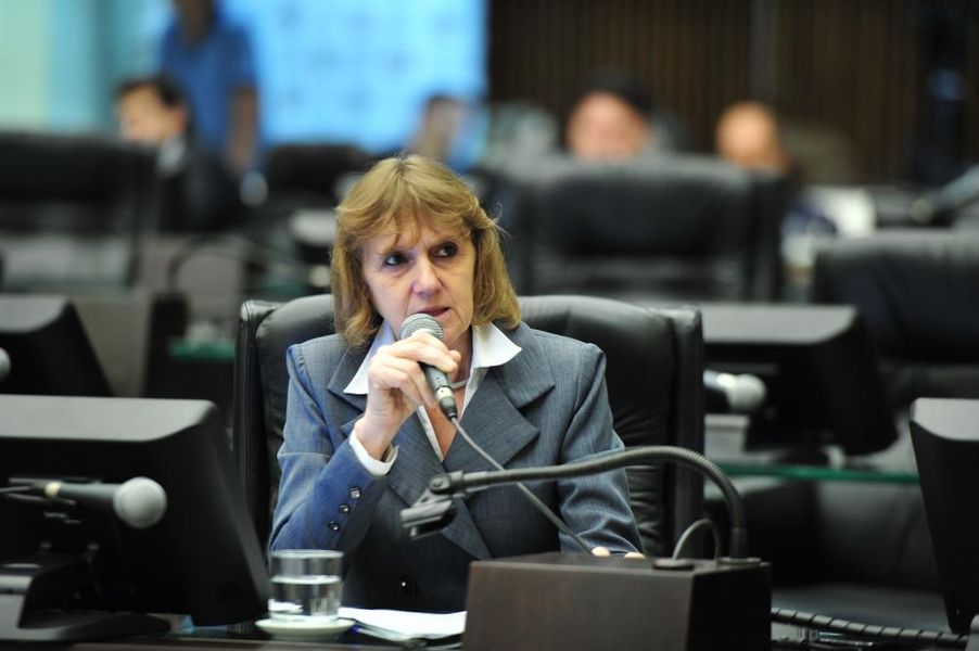 Deputada Luciana Rafagnin