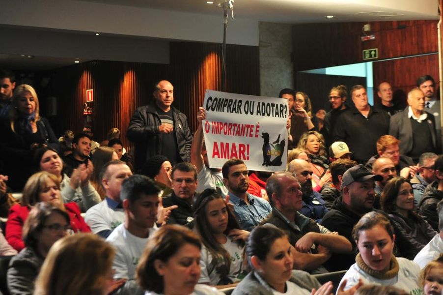 audiencia pet1