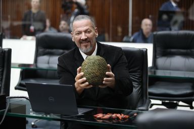 Plenário aprova reconhecimento do pinhão como Patrimônio Cultural Imaterial do Paraná