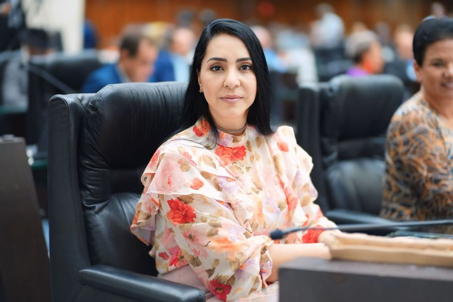 mara lima recomeço
