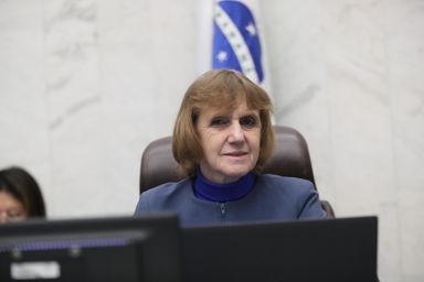 Deputada Luciana Rafagnin (PT) propõe a criação de um fundo estadual de atenção emergencial às síndromes e doenças raras