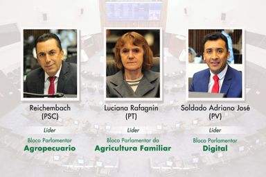 Blocos Parlamentares Temáticos atuam para aproximar Legislativo da sociedade