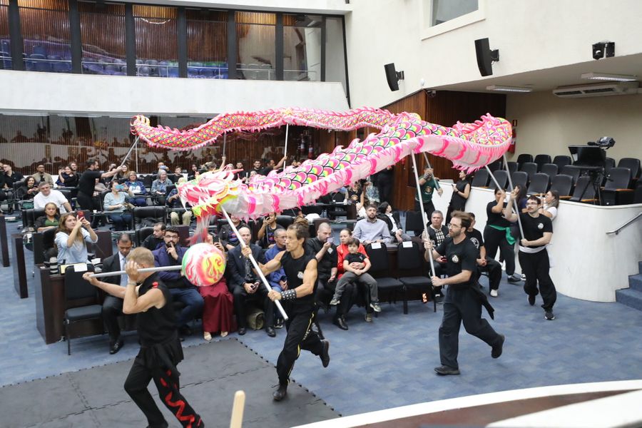 Kung-fu 10042026