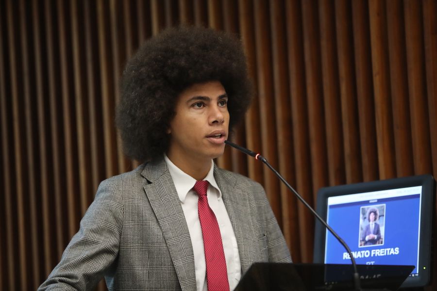 renato arvores furtiferas