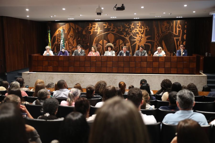 Audiência Pública: Sistema Prisional
