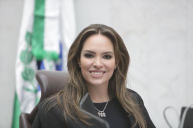 “Utilização de areia descartada de fundição pode baratear custos de obras no Paraná”, afirma deputada Maria Victoria (PP)