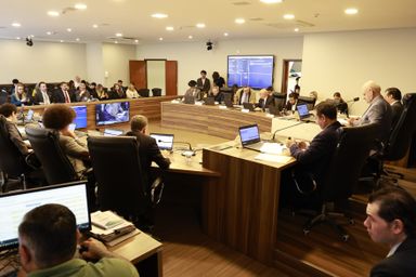 CCJ aprova inclusão produtiva para famílias de pessoas com autismo e amplia direitos do consumidor e da pessoa idosa