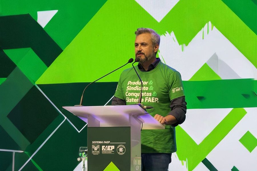 fabio faep