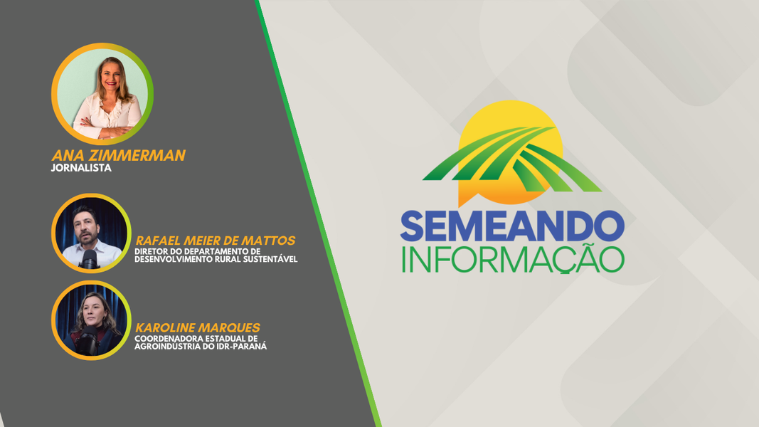 semeando 08092025