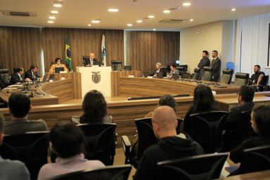 Deputados intensificaram atuação em comissões permanentes, blocos temáticos e frentes parlamentares