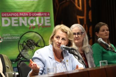 Audiência ajuda a reforçar ações e colocar novos temas no radar contra a dengue