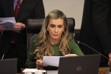 Projeto da deputada Flávia Francischini (União) vai ajudar pessoa com deficiência a entrar em universidade