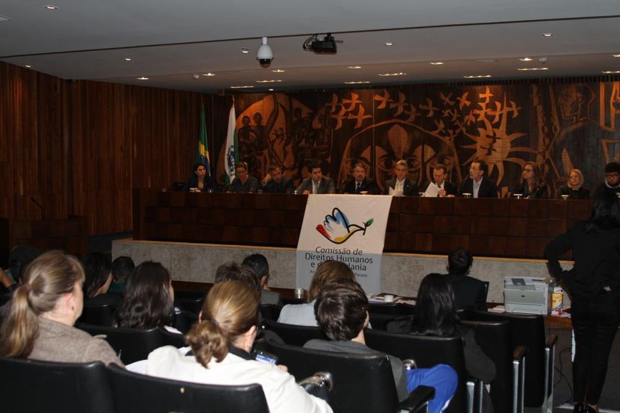  Audiência Pública sobre "Legislação Federal da Criança e do Adolescente"
