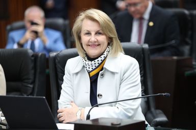 Deputada Márcia Huçulak (PSD) apresenta projeto de lei para reforçar proteção contra violência a crianças e adolescentes