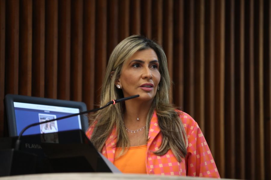 flavia declaração gilmar mendes