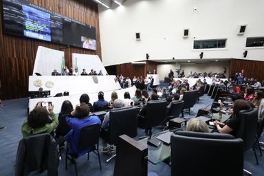 Seminário aborda as oportunidades de financiamento público por meio das emendas parlamentares
