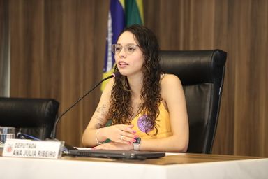Deputada Ana Júlia propõe campanha permanente contra o assédio nos estádios