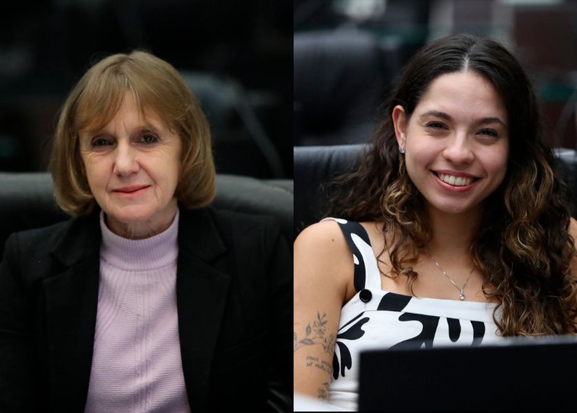 rafagnin ana julia voto