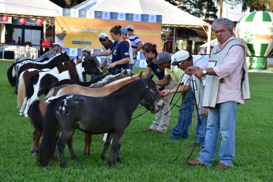 Animais na ExpoLondrina