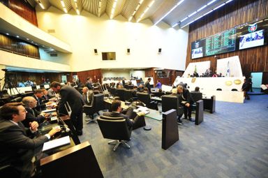 Segue para sanção do Executivo projeto que estende meia-entrada para eventos culturais