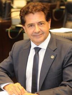 Foto do deputado Palozi
